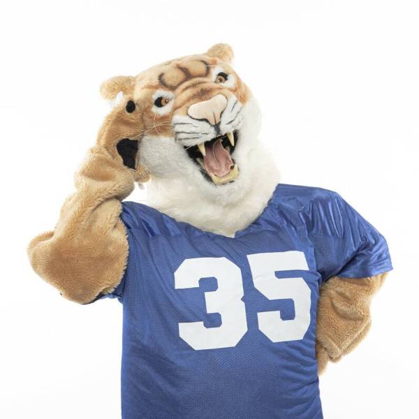 mascot