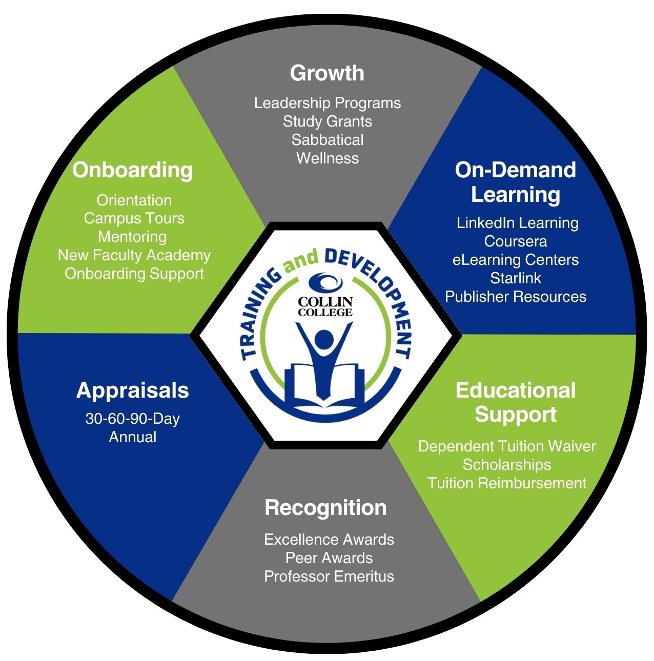 Training and Development Programs