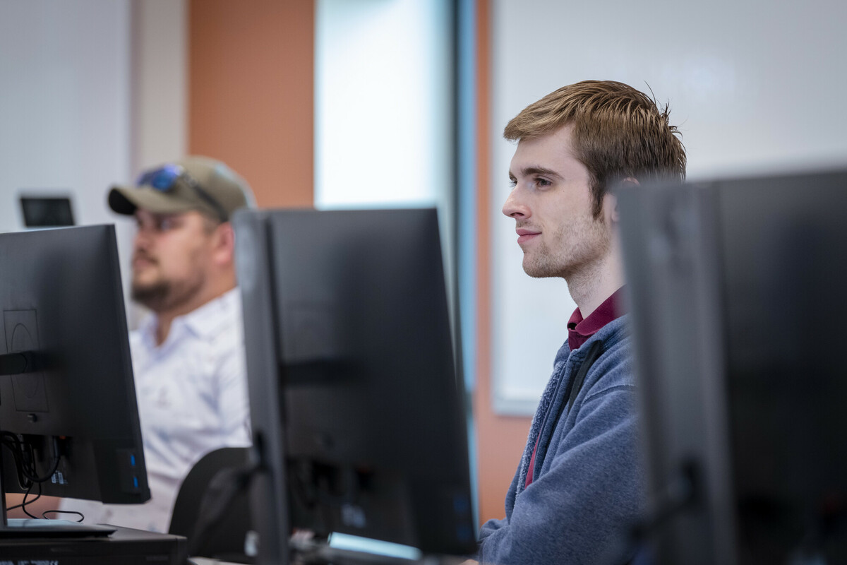 Students studying in a computer lab