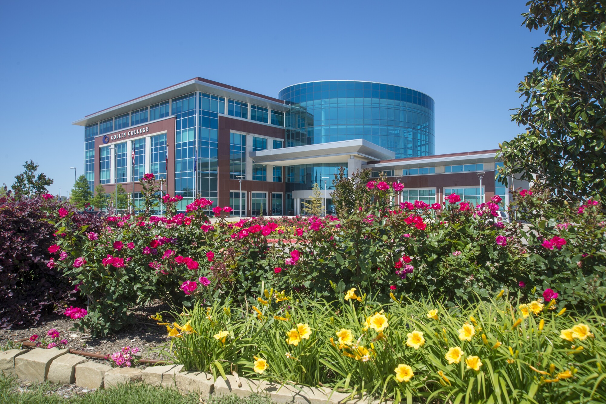 Collin Higher Education Center 