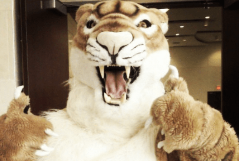 Image of Collin Cougar holding up two thumbs-ups.